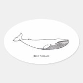 Blauwal-Illustration (line art) Ovaler Aufkleber (Vorderseite)