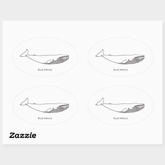 Blauwal-Illustration (line art) Ovaler Aufkleber (Blatt)