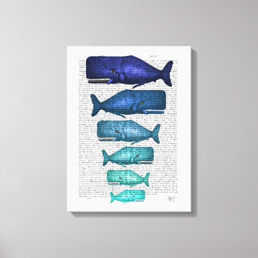 Blauwal Leinwanddruck (Vorderseite)