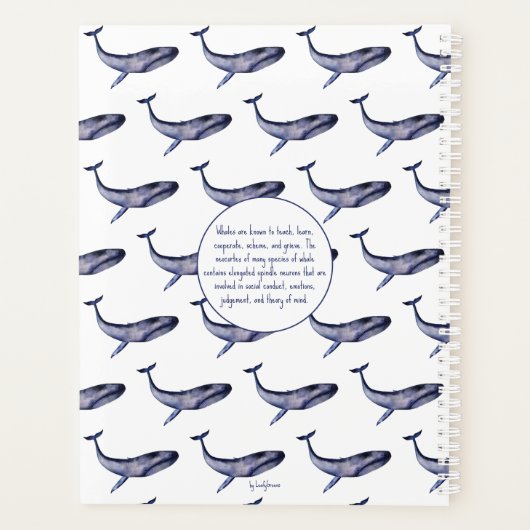 Blauwal Planer (Rückseite)