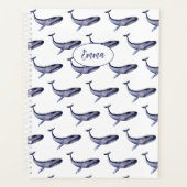 Blauwal Planer (Vorderseite)