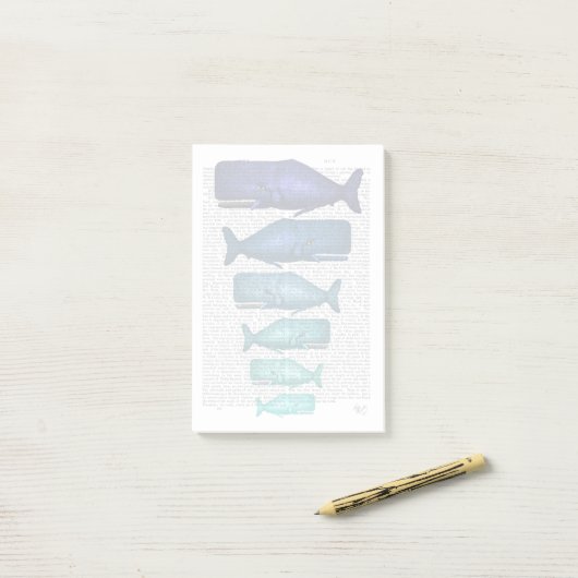 Blauwal Post-it Klebezettel (Auf Schreibtisch)