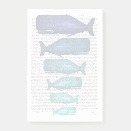 Blauwal Post-it Klebezettel (Vorderseite)