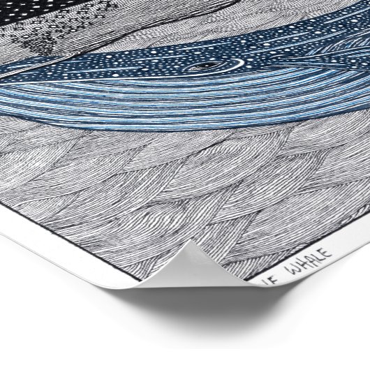 Blauwal-Poster Poster (Ecke)