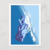 Blauwal Postkarte (Vorderseite)