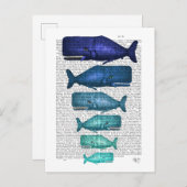 Blauwal Postkarte (Vorne/Hinten)