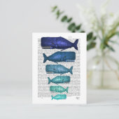 Blauwal Postkarte (Stehend Vorderseite)