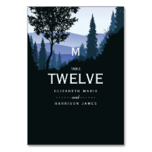 Blauwald, rustikale Hochzeit