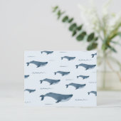 Blauwale, die im Ozean schwimmen Postkarte (Stehend Vorderseite)