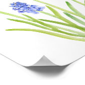 Blauweine-Hyazinthe-Aquarell 2023 Poster (Ecke)