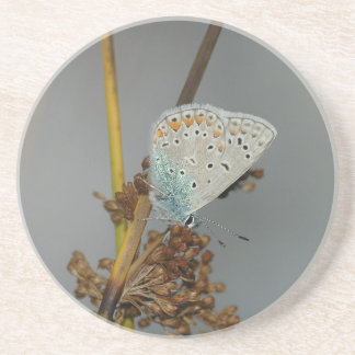 Blauweißer Orange mit schwarzem Schmetterling Untersetzer