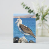 Blauwild Postkarte (Stehend Vorderseite)