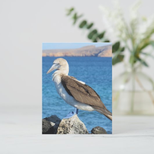Blauwild Postkarte (Stehend Vorderseite)