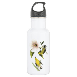 Blauwinged Warbler von Audubon Trinkflasche
