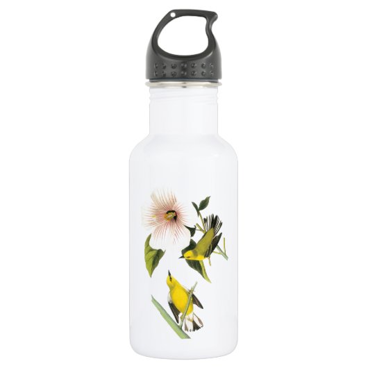Blauwinged Warbler von Audubon Trinkflasche (Vorderseite)