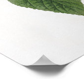 Blauwinged Yellow Warbler Audubon Birds America Poster (Ecke)