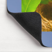 Blauwrapped Hummingbird Nest Mousepad (Ecke)