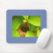 Blauwrapped Hummingbird Nest Mousepad (Mit Mouse)