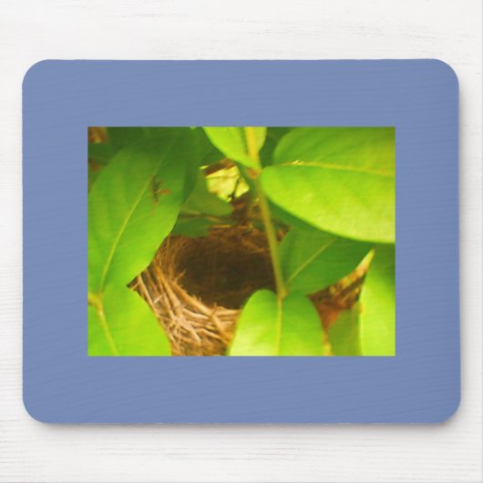 Blauwrapped Hummingbird Nest Mousepad (Vorne)