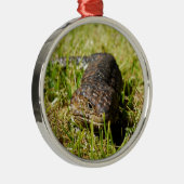 Blauzungenechse, die im Gras einbricht, Silbernes Ornament (Rechts)