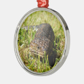 Blauzungenechse, die im Gras einbricht, Silbernes Ornament (Links)