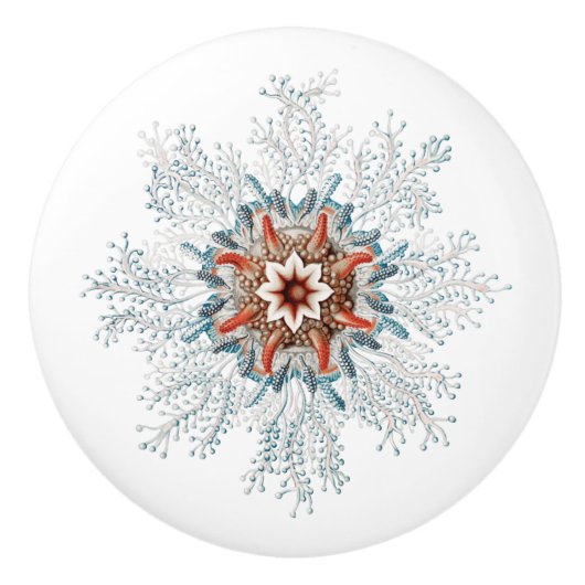 Blauzungenknopf Keramikknauf (Vorderseite)