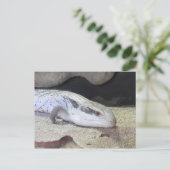 Blauzungenkrankheit Postkarte (Stehend Vorderseite)