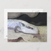 Blauzungenkrankheit Postkarte (Vorne/Hinten)