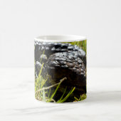 Blauzungenkrankheit Stumpy Australian Lizard, Kaffeetasse (Mittel)