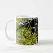 Blauzungenkrankheit Stumpy Australian Lizard, Kaffeetasse (Links)