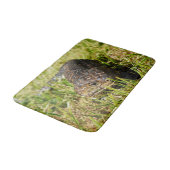 Blauzungenpfeife Lizard, Badematte (Schrägansicht)