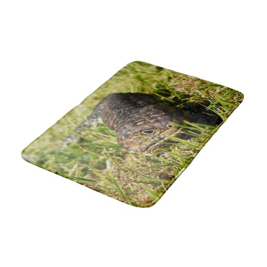 Blauzungenpfeife Lizard, Badematte (Schrägansicht)