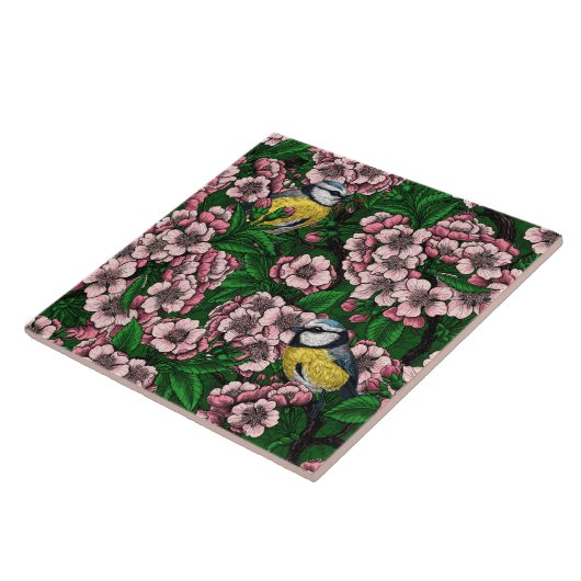 Blauzungenvögel im blühenden Kirschbaum auf Gras Fliese (Seite)