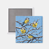 Blauzungenvögel im Winter Magnet (Vorderseite/Rückseite)
