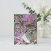 Blaze Cat Eyes Postcard Postkarte (Stehend Vorderseite)