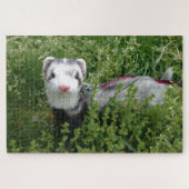 Blaze Ferret Puzzle (Horizontal)