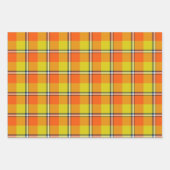 Blaze Orange and Bird Flower Plaid Geschenkpapier Set (Vorderseite 2)