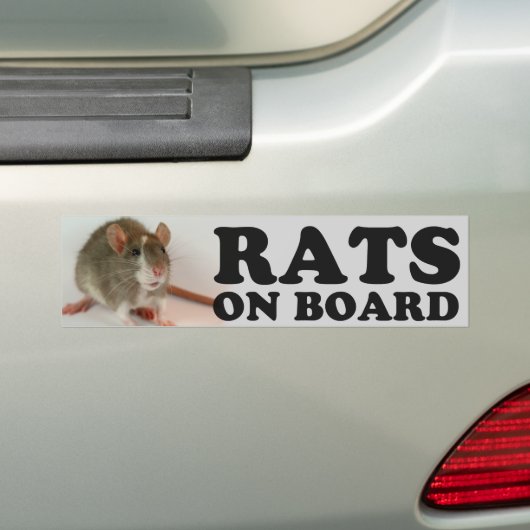 (Blazed) Ratten man board Autoaufkleber (Auf Auto)