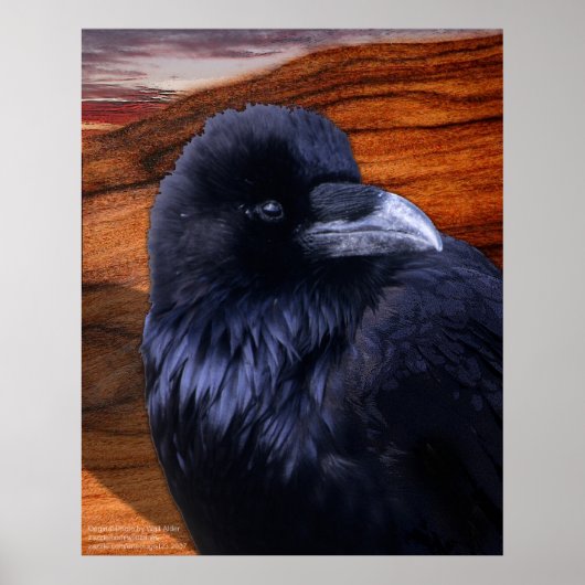 Blazen Raven Poster (Vorne)