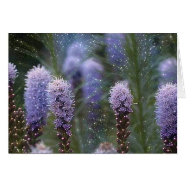 Blazing Star Blume (Vorderseite (Horizontal))