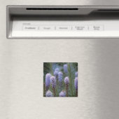 Blazing Star Blume Magnet (In Situ (Geschirrspüler))
