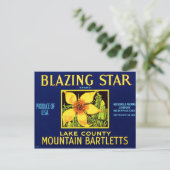 Blazing Star Pears Postkarte (Stehend Vorderseite)