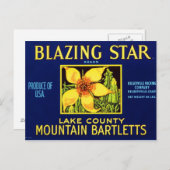 Blazing Star Pears Postkarte (Vorne/Hinten)