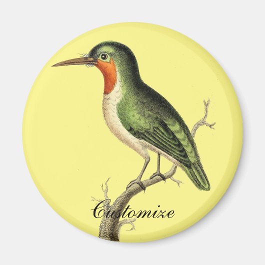 Blazing Sun Thunder_Cove Magnet (Vorne)