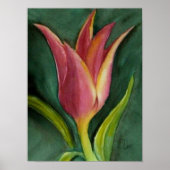 Blazing Tulip Poster (Vorne)