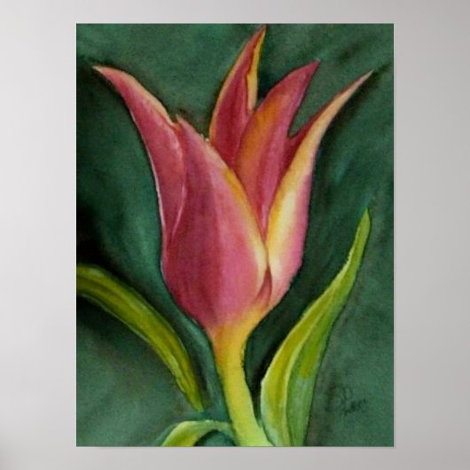 Blazing Tulip Poster (Vorne)