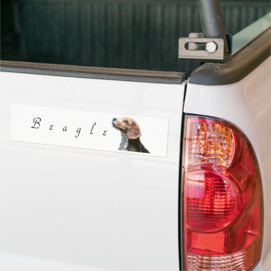 Bleagle Autoaufkleber (Auf Lkw)