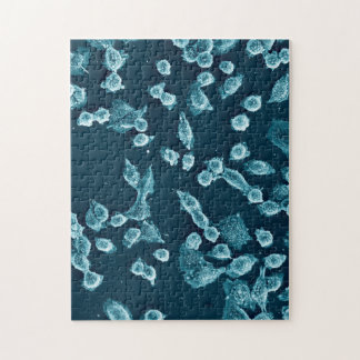 Blebby mitotic Zellenpuzzlespiel Puzzle