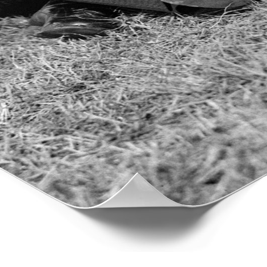 Blechsitze: 1925 poster (Ecke)