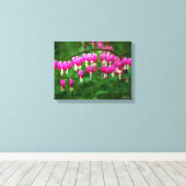 Bleeding Heart Canvas Print Leinwanddruck (Insitu (Holzboden))